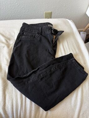 torrid Black High-Rise Jegging with Gold Zipper